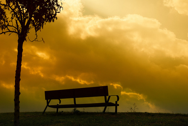 3163534737_00d851db57_z